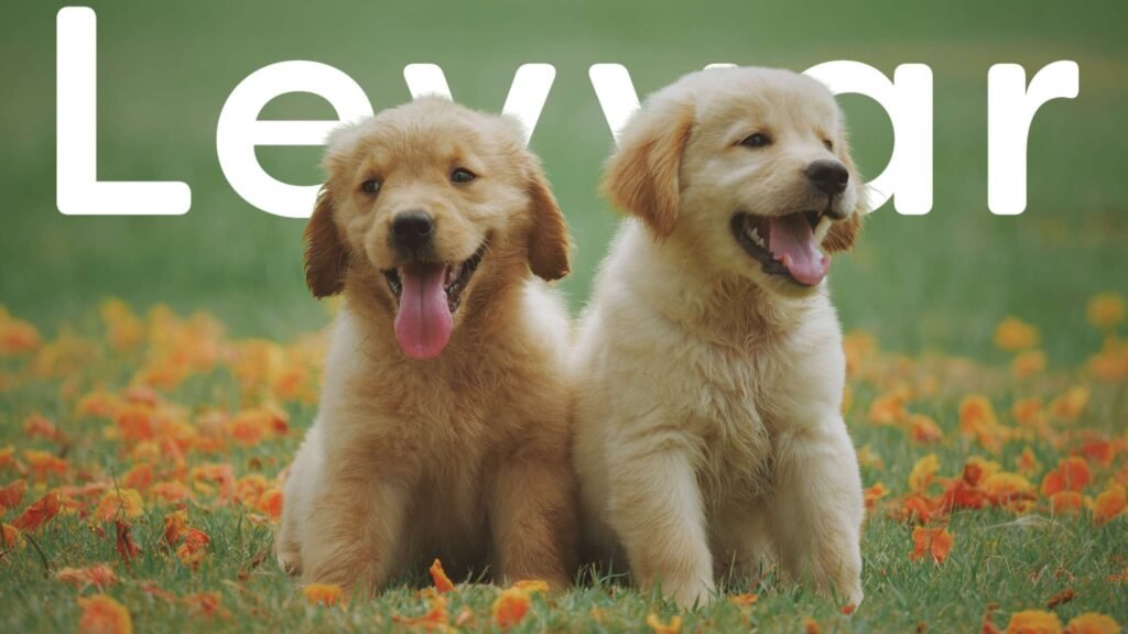 Protocolo de Transporte para Filhotes: Cuidados Essenciais para uma Viagem Segura