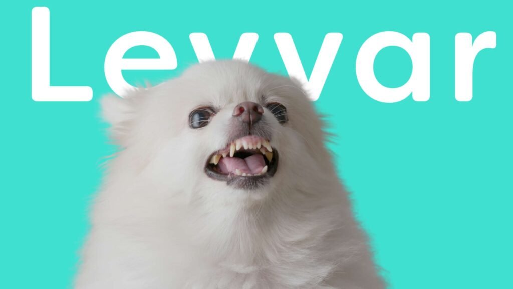 Protocolo de Transporte para Animais Anti-Sociais: Seguran&ccedil;a e Bem-Estar Durante a Viagem