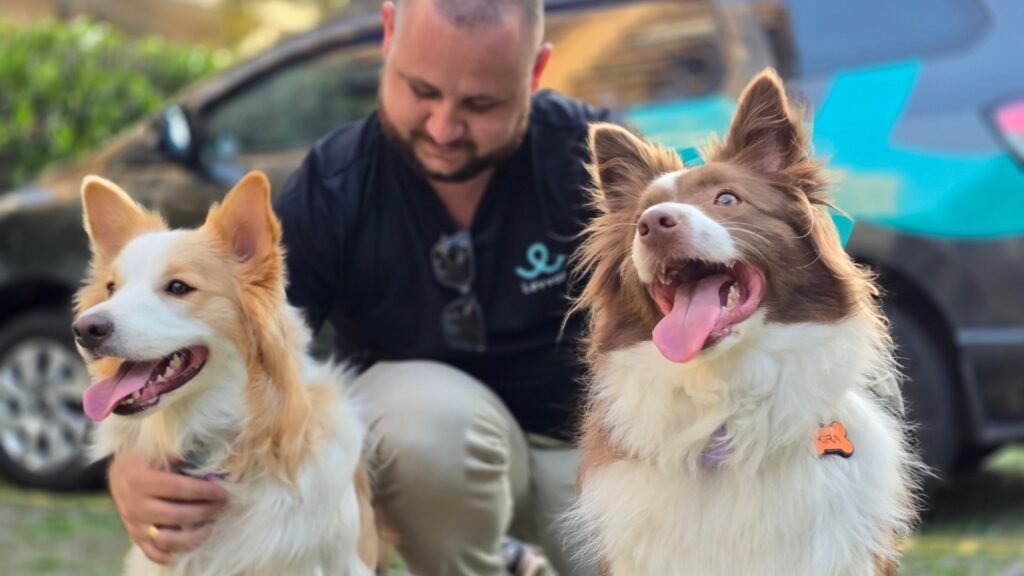 Como Escolher a Melhor Empresa para Transporte de Pets: Conhe&ccedil;a os Diferenciais da Levvar